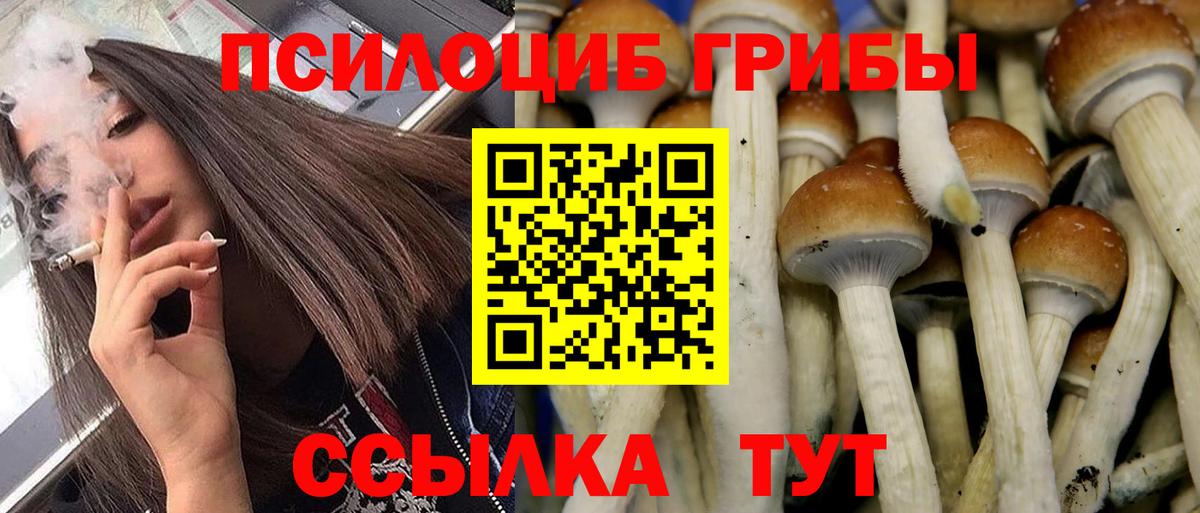 Галлюциногенные грибы прущие грибы Нижний Тагил